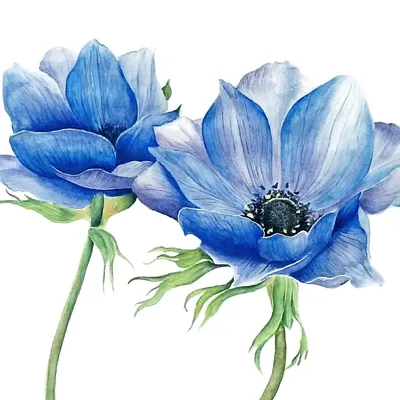 Красивые невиданные цветы, синего …» — создано в Шедевруме