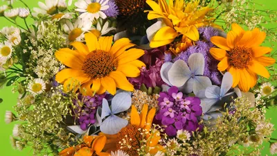 Пазл «Летнее разноцветье» из 464 элементов | Собрать онлайн пазл №112507