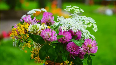 Красивые весенние цветы — заставка на комп весна (3004x1689)