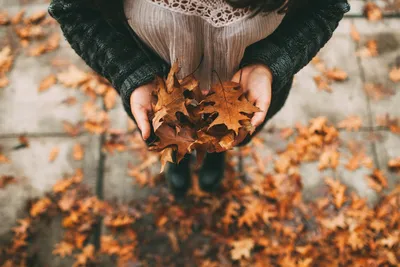 Авы пары - фото и картинки abrakadabra.fun