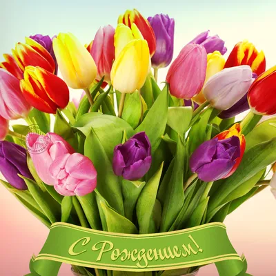 маленькие красивые букеты смешанных цветов в руках женщины. концепция  цветочного магазина . красивый свежий букет. цветы Стоковое Фото -  изображение насчитывающей природа, пион: 293620200