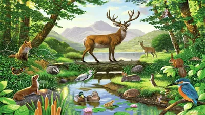 Птицы и животные в лесу рисунок - 80 фото