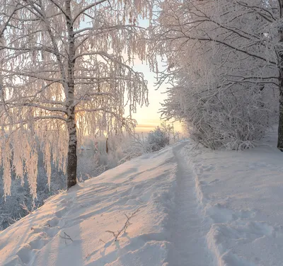 картинки : сердце, снег, День Святого Валентина, люблю, зима, символ,  белый, Валентинка 3008x2000 - - 1371165 - красивые картинки - PxHere