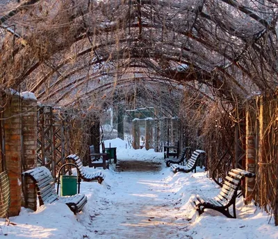 Красивые зимние картинки, фото : как выглядят сейчас столицы, Париж зимой,  Лондон зимой, Рим, Нью-Йорк, Токио, Венеция | WDAY