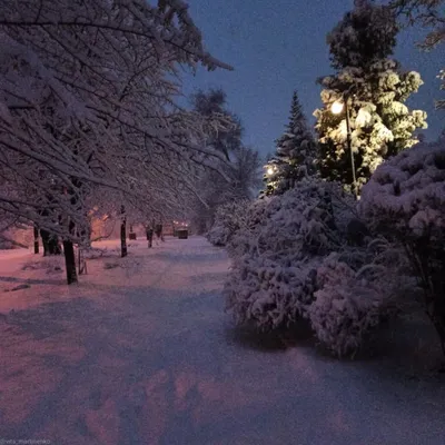 Снежные зимы в городе - красивые фото