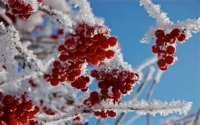 Красивая зима - 76 фото