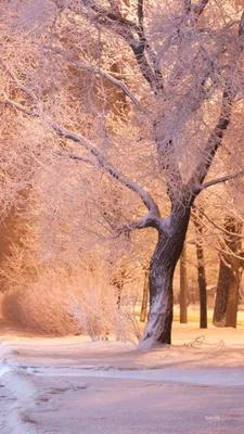 Зимние картинки на аву (100 фото)