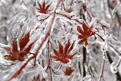 Картинки зимы на телефон - 68 фото