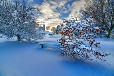 Красивые картинки Зимы (42 фото)