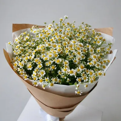 Красивый букет ромашек - Для Тебя ! | Ромашки, Простые цветы, Цветы