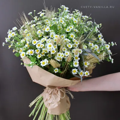 Красивый букет белых полевых цветов - купить с бесплатной доставкой 24/7 по  Москве