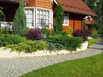 Красивый ландшафтный дизайн участка - 100 идей на фото | Озеленение фасада,  Идеи для садового дизайна, Дизайн сада
