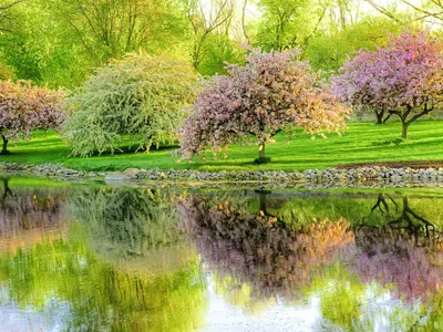 Красивый весенний пейзаж, нарисованный вручную | Премиум Фото
