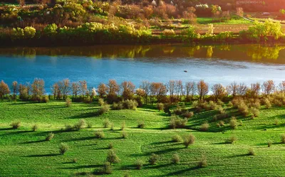 Красивый весенний пейзаж с зеленой лужайкой :: Стоковая фотография ::  Pixel-Shot Studio