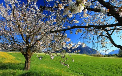 Красивый весенний пейзаж природа, …» — создано в Шедевруме