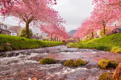 красивый весенний пейзаж Stock Photo | Adobe Stock