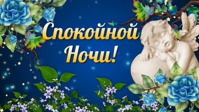 Хочу Всё Знать - Доброй ночи, друзья! Красивых снов! | Facebook