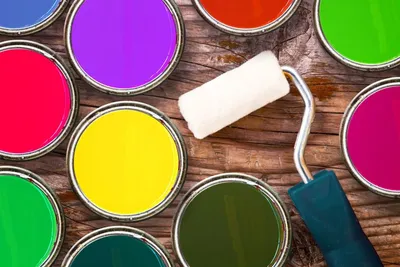 Краска для стен: цвета и палитра, как выбрать