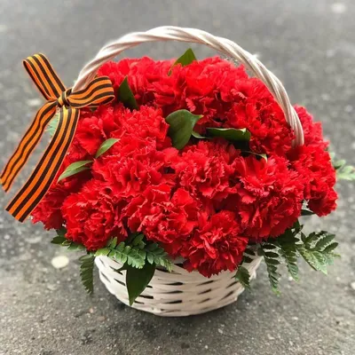 Цветы «Гвоздика красная» с доставкой