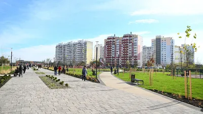 Краснодар - город скверов: в 2023 году создали 7 новых и доблагоустроили 11  зелёных территорий :: Krd.ru