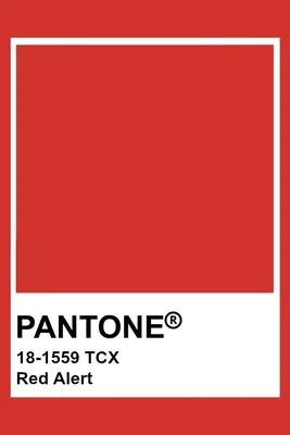 векторная палитра красных оттенков. значок спектра красного цвета  Иллюстрация вектора - иллюстрации насчитывающей печать, краска: 219777086