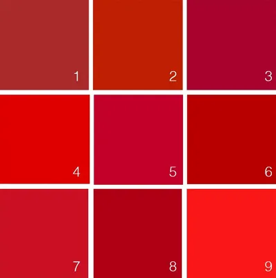 Какой цвет настоящий красный? | ༺ Полина Вахитова. Имидж ༻ | Дзен