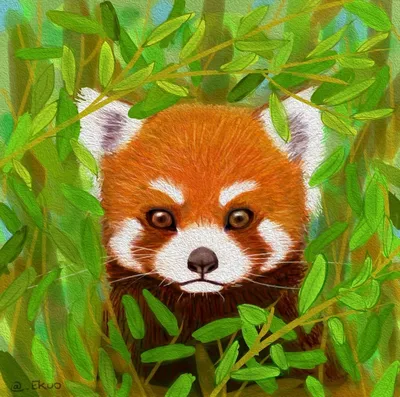 Красная панда (лат. Ailurus fulgens) , фотографии красной или малой панды