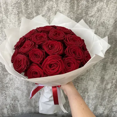 Красные розы обои - 67 фото
