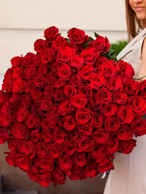 Обои на рабочий стол Красные розы на фоне с сердечками, обои для рабочего  стола, скачать обои, обои бесплатно