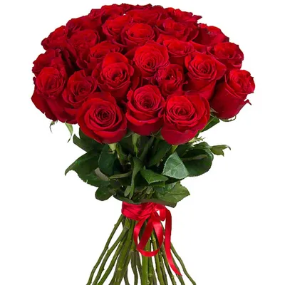 Розы Красные и Белые (60 см)