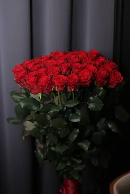 Обои для рабочего стола Розы красные Цветы