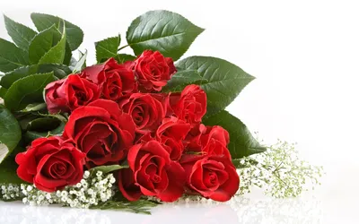 3D Фото обои \"Плетущие красные розы на заборе\" - Любой размер! Читаем  описание! (ID#1977355007), цена: 420 ₴, купить на Prom.ua