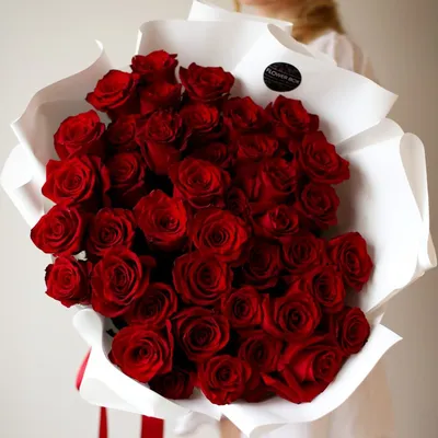 Скачать обои розы красные, пузыри, цветочки, bubbles, roses are red,  flowers, цветы, раздел цветы в разрешении 4853x3929