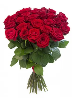 800x1200 Обои розы, букет, красный, лепестки | Red roses, Rose day  wallpaper, Flower pictures