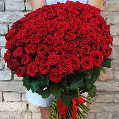 Красные розы недорого: 51 цветок, высота 50 см по цене 9670 ₽ - купить в  RoseMarkt с доставкой по Санкт-Петербургу