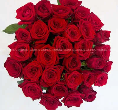 Almaflowers.kz | Букет из 101 розы (Белые и красные) - купить в Алматы по  лучшей цене с доставкой