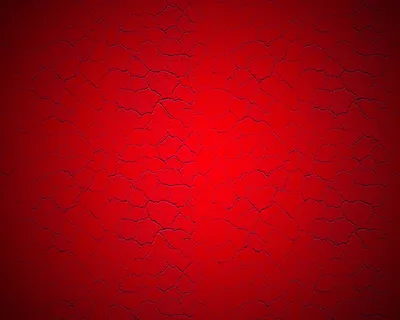 Бумажный фон FST 2,72х11 м. Цвет: тёмно-красный №1013: купить в Москве -  интернет-магазин Lightphotos.ru
