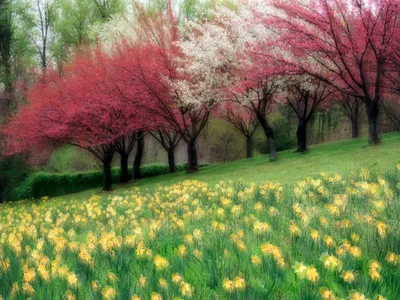 Картинки красота весны рисунки (67 фото) » Картинки и статусы про  окружающий мир вокруг