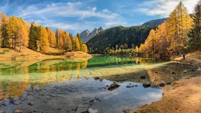 Капли воды листья зелёные - обои на рабочий стол