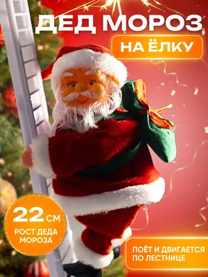 Заказ Деда Мороза на корпоратив | Заказ Деда Мороза в Москве вызов на дом -  \"Дед Мороз и Ко\"
