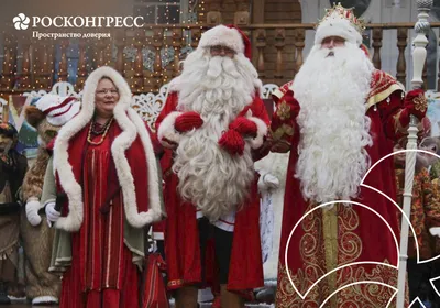 Шар из фольги “Веселый Дед Мороз” купить в Москве с доставкой: цена, фото,  описание | Артикул:A-004673