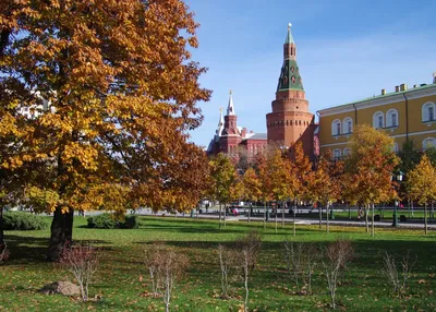 Новгородский кремль – история, легенды и интересные факты. Что посмотреть в  Новгородском кремле