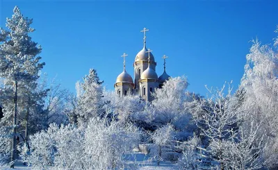 19 января - Крещение Господне: Как праздновать и как правильно купаться на  Крещение