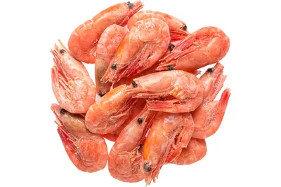 ☰ Креветка «Shrimps» цена от 495 грн заказать с доставкой в городе Киев
