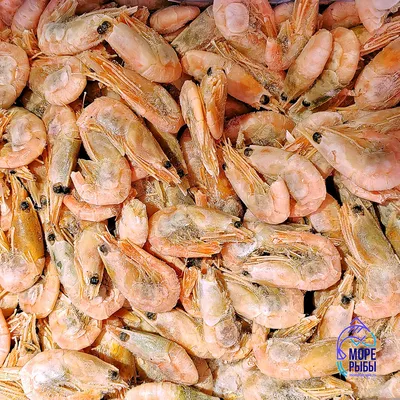 Северная креветка, 2,5 кг варено-мороженая, размер 90/120| Купить креветки  по выгодной цене в интернет-магазине морепродуктов seafood-shop.ru