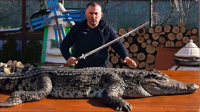 статуэтку крокодила из бронзы купить