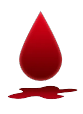 Донорство крови: показания, противопоказания и способы подготовки — блог  медицинского центра ОН Клиник