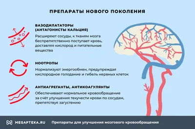 Как улучшить кровообращение: медики рассказали, какие продукты должны быть  в рационе - УРА-Информ