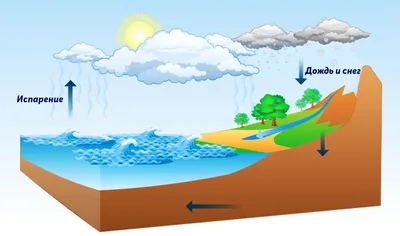 Эксперименты с водой, которые удивят даже взрослых.