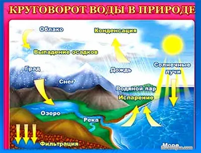 Урок окружающего мира по теме: \"Вода в природе, свойства воды, круговорот  воды в природе\"